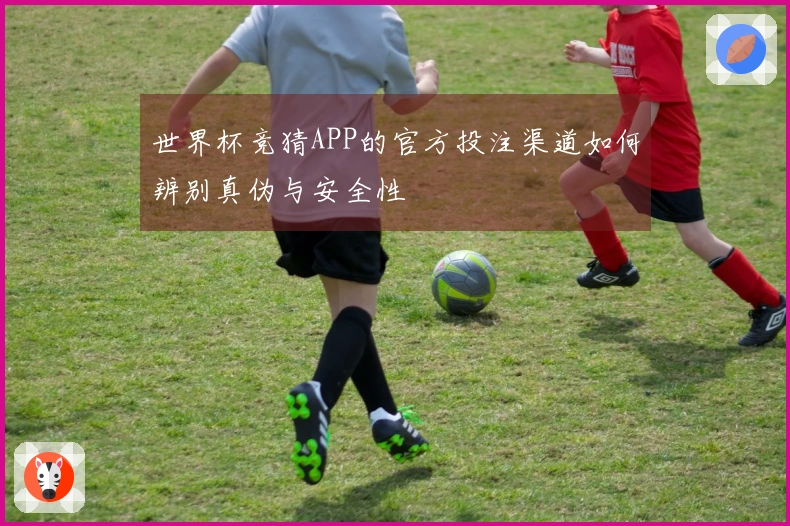世界杯竞猜APP的官方投注渠道如何辨别真伪与安全性