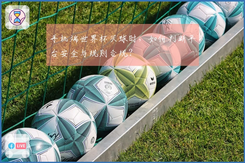手机端世界杯买球时,如何判断平台安全与规则合规?
