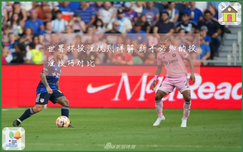 世界杯投注规则详解 新手必知的投注技巧对比