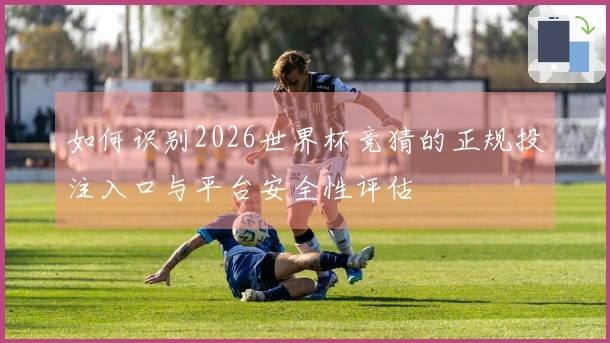 如何识别2026世界杯竞猜的正规投注入口与平台安全性评估
