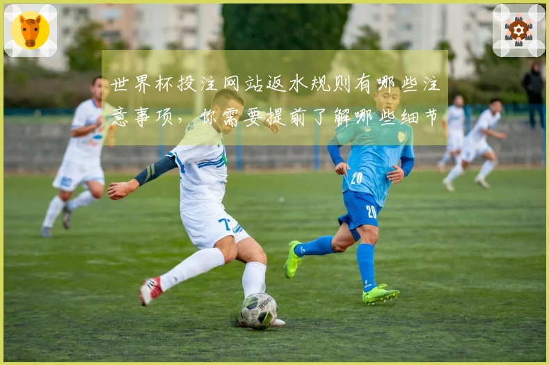 世界杯投注网站返水规则有哪些注意事项，你需要提前了解哪些细节