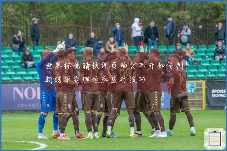 世界杯竞猜软件页面打不开如何判断赔率合理性和应对技巧