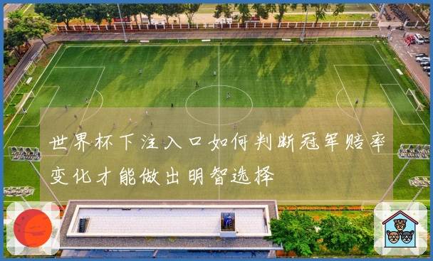 世界杯下注入口如何判断冠军赔率变化才能做出明智选择