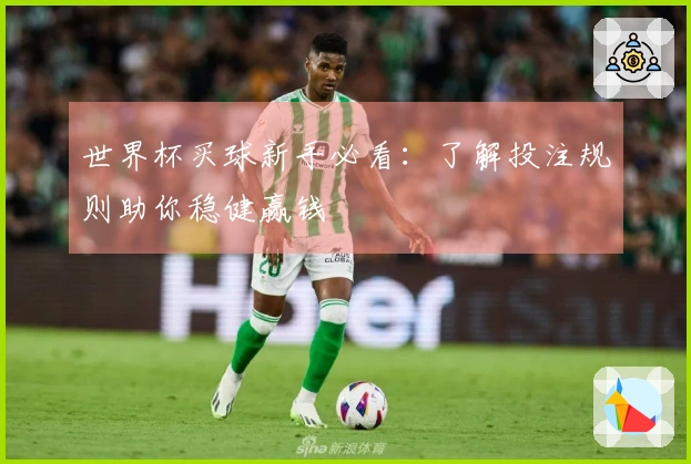 世界杯买球新手必看：了解投注规则助你稳健赢钱
