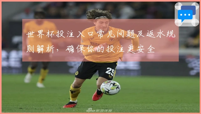 世界杯投注入口常见问题及返水规则解析，确保你的投注更安全