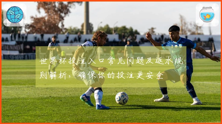 世界杯投注入口常见问题及返水规则解析,确保你的投注更安全