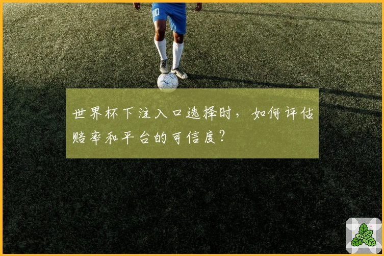 世界杯下注入口选择时,如何评估赔率和平台的可信度?