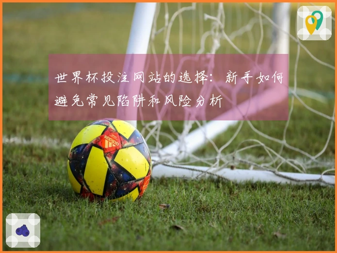 世界杯投注网站的选择:新手如何避免常见陷阱和风险分析