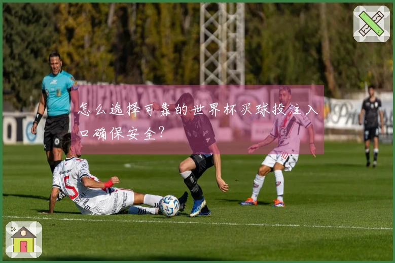怎么选择可靠的世界杯买球投注入口确保安全？