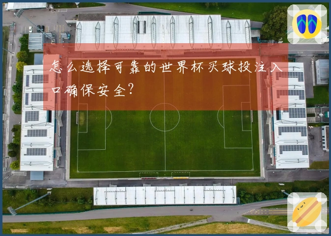 怎么选择可靠的世界杯买球投注入口确保安全？