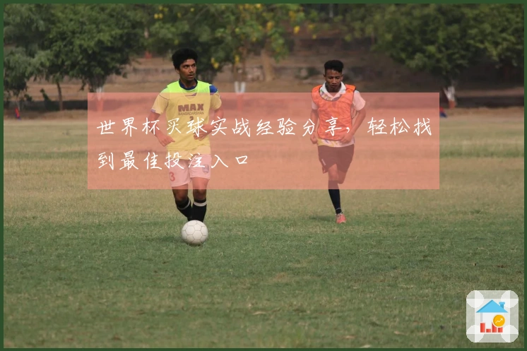 世界杯买球实战经验分享，轻松找到最佳投注入口