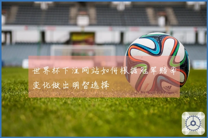 世界杯下注网站如何根据冠军赔率变化做出明智选择