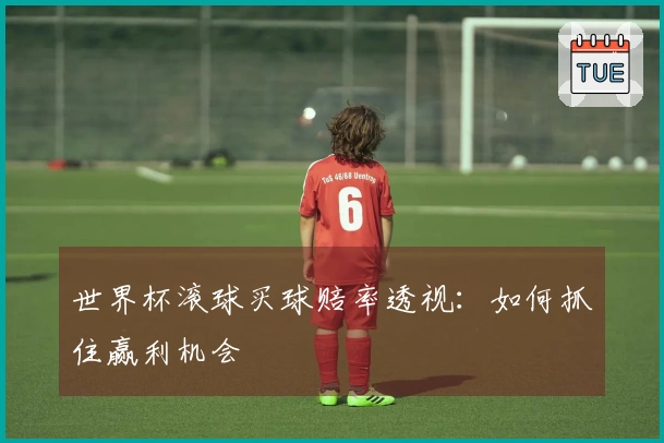 世界杯滚球买球赔率透视：如何抓住赢利机会