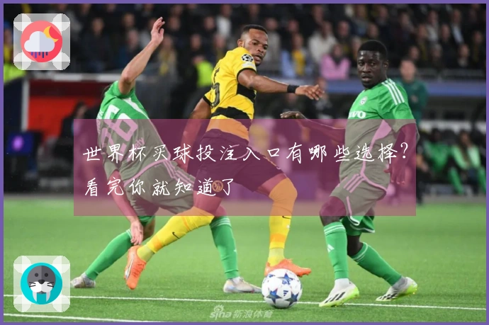 世界杯买球投注入口有哪些选择？看完你就知道了