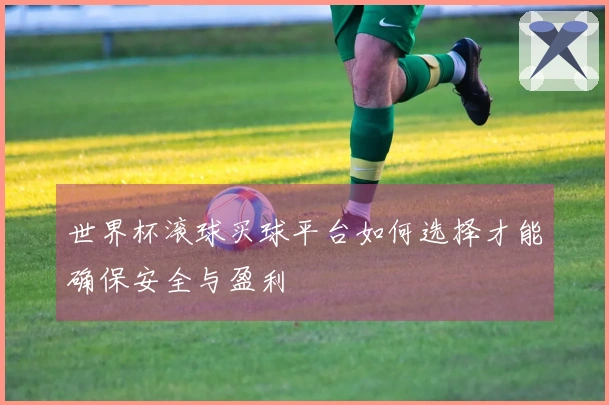 世界杯滚球买球平台如何选择才能确保安全与盈利