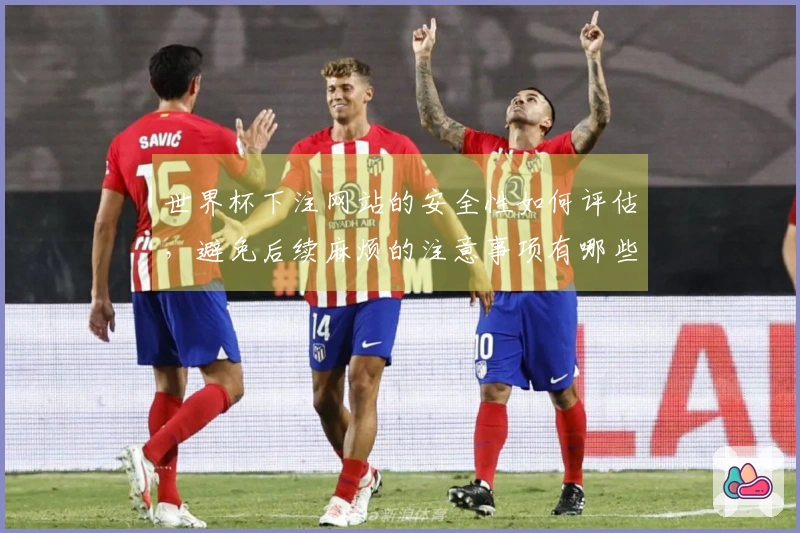 世界杯下注网站的安全性如何评估,避免后续麻烦的注意事项有哪些