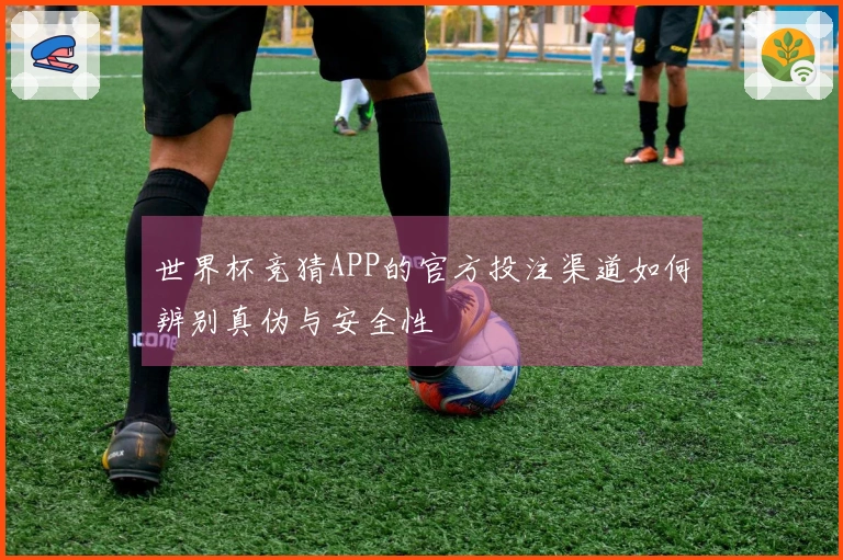 世界杯竞猜APP的官方投注渠道如何辨别真伪与安全性