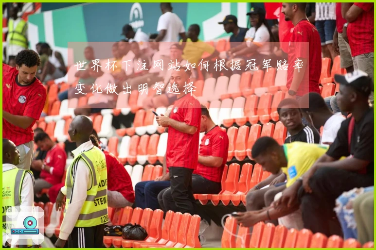 世界杯下注网站如何根据冠军赔率变化做出明智选择