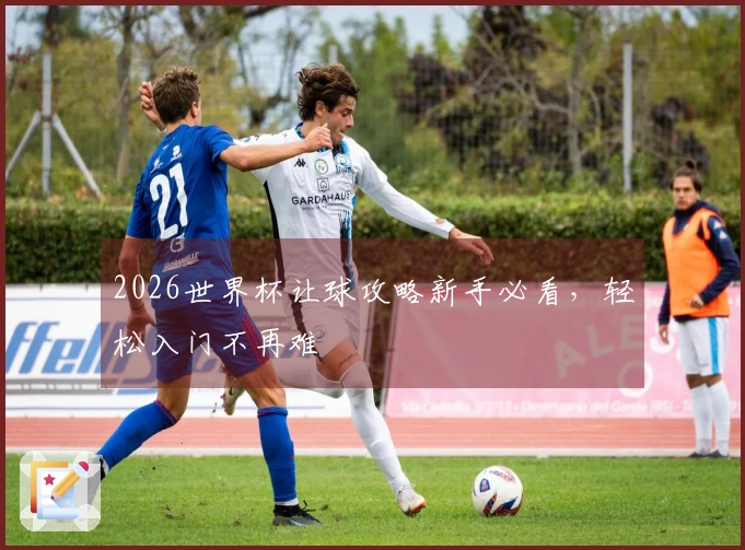 2026世界杯让球攻略新手必看，轻松入门不再难