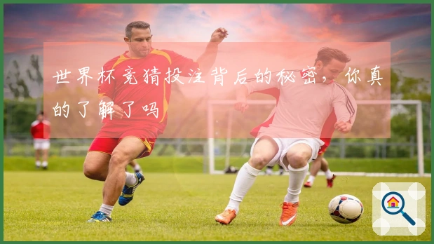 世界杯竞猜投注背后的秘密，你真的了解了吗