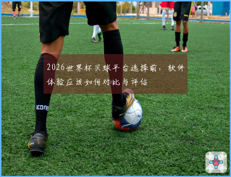 2026世界杯买球平台选择前，软件体验应该如何对比与评估