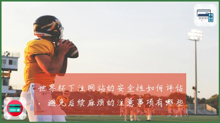 世界杯下注网站的安全性如何评估，避免后续麻烦的注意事项有哪些