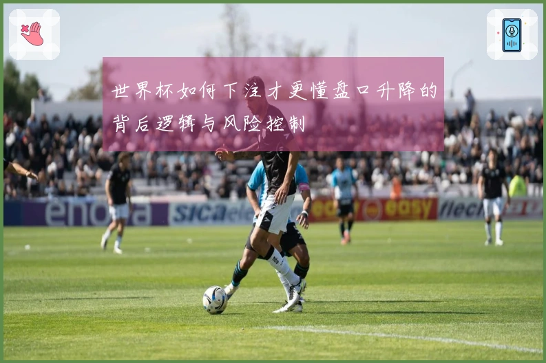 世界杯如何下注才更懂盘口升降的背后逻辑与风险控制