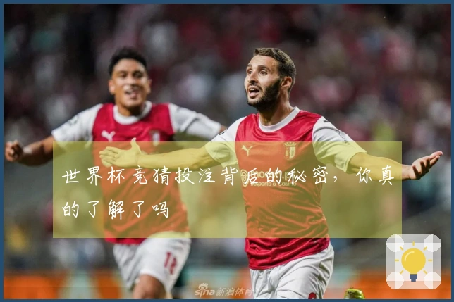 世界杯竞猜投注背后的秘密，你真的了解了吗