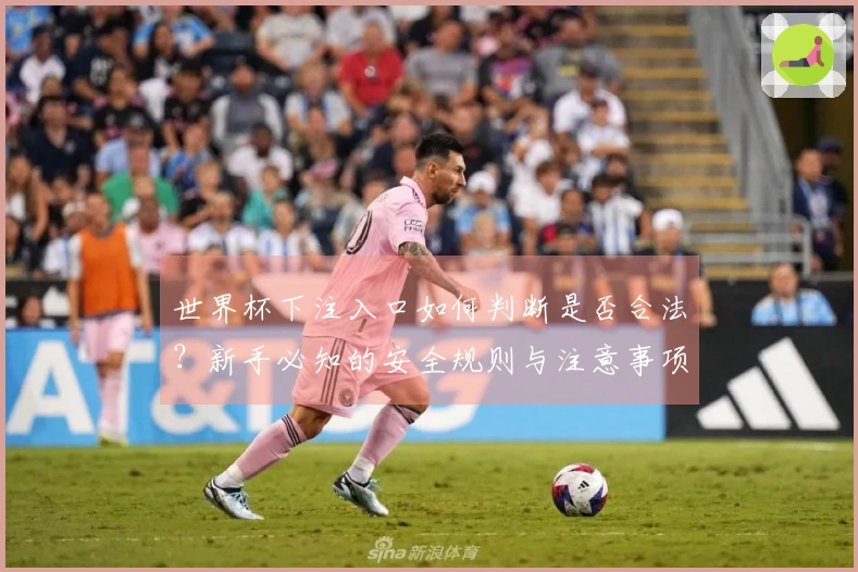 世界杯下注入口如何判断是否合法?新手必知的安全规则与注意事项