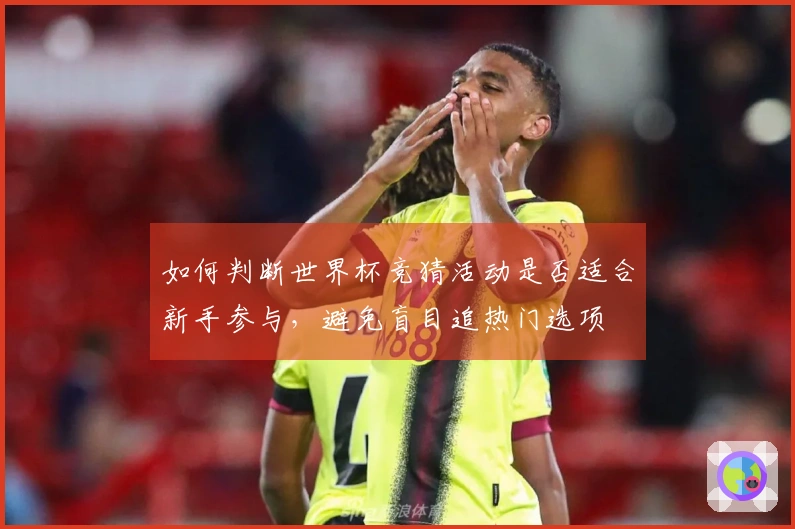 如何判断世界杯竞猜活动是否适合新手参与,避免盲目追热门选项
