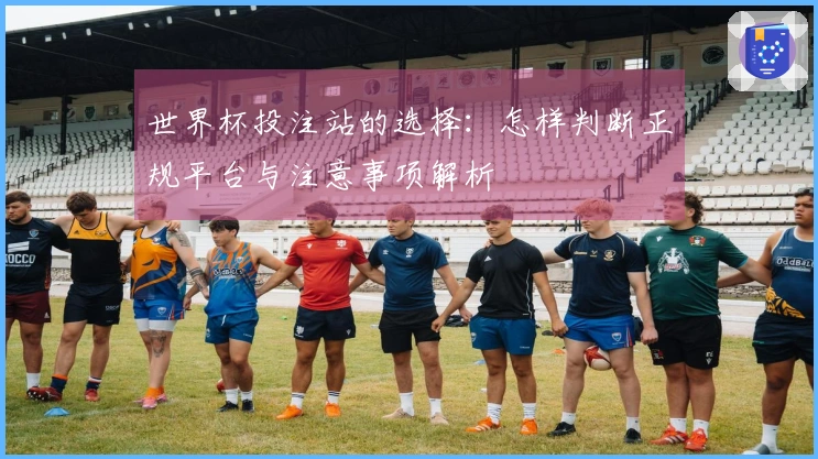 世界杯投注站的选择：怎样判断正规平台与注意事项解析