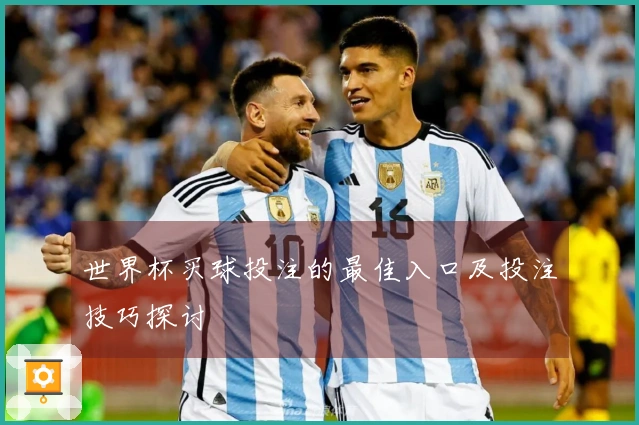 世界杯买球投注的最佳入口及投注技巧探讨