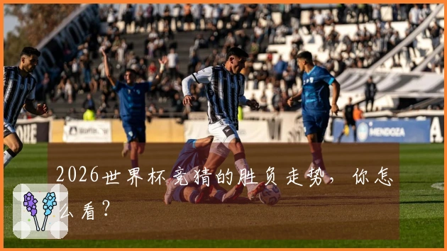 2026世界杯竞猜的胜负走势，你怎么看？