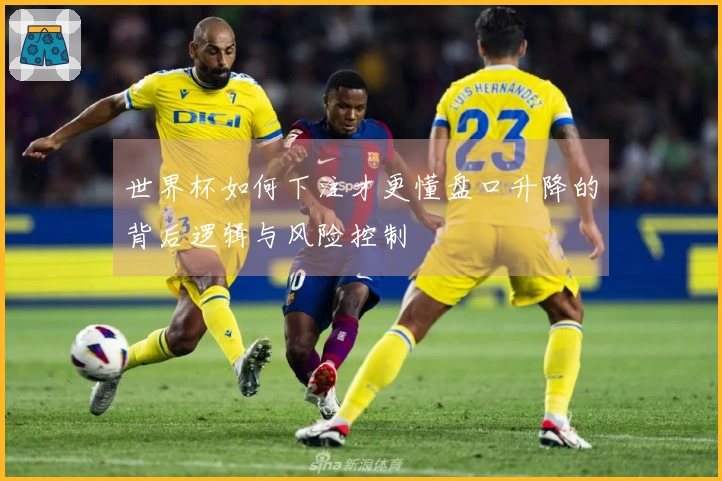 世界杯如何下注才更懂盘口升降的背后逻辑与风险控制