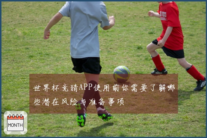 世界杯竞猜APP使用前你需要了解哪些潜在风险与准备事项