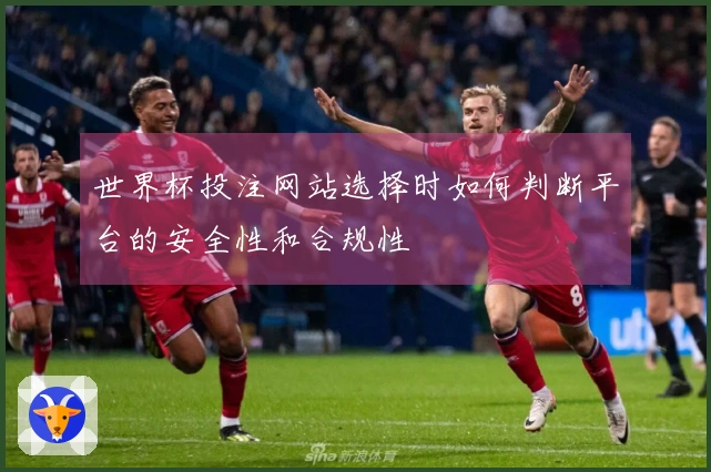 世界杯投注网站选择时如何判断平台的安全性和合规性